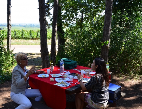 Burgundy, with rain sometimes.. With fun always !